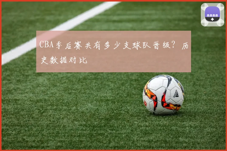 CBA季后赛共有多少支球队晋级？历史数据对比