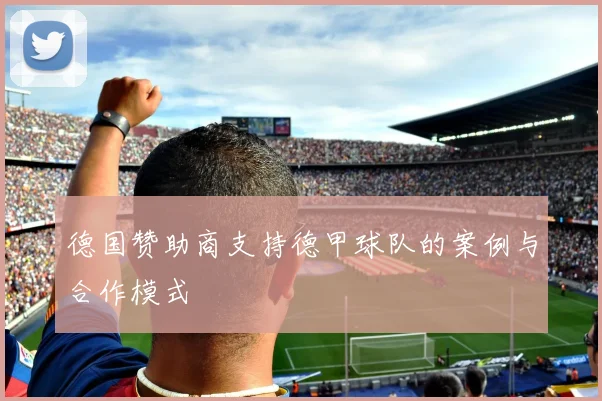 德国赞助商支持德甲球队的案例与合作模式