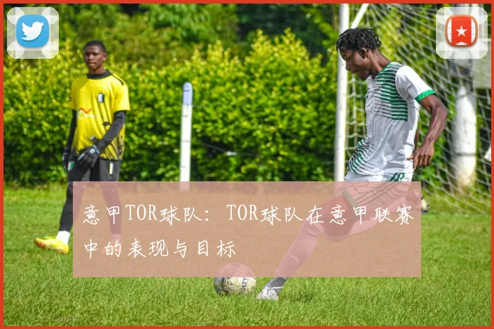 意甲TOR球队：TOR球队在意甲联赛中的表现与目标