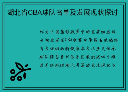 湖北省CBA球队名单及发展现状探讨