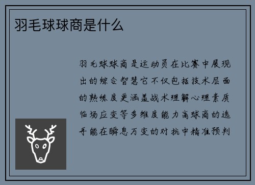 羽毛球球商是什么